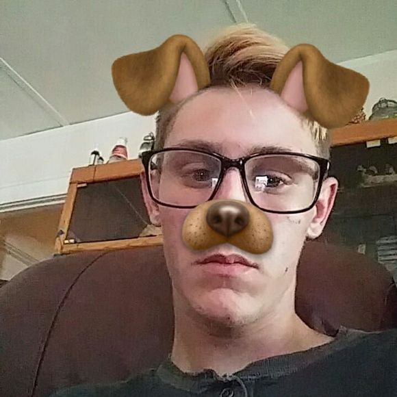 Meet your Posher, Tucker - Picture 1 of 1